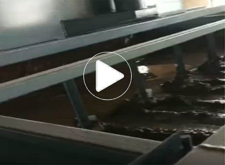 带式污泥压滤机运行视频